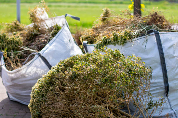 Best Appliance Removal Near Me  in Catalina Foothills, AZ